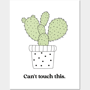 Can't Touch This Funny Cactus Plant Gift Posters and Art